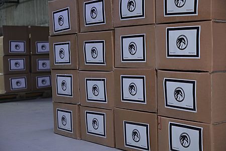 Фонда масс-медиа окажет помощь ветеранам сферы журналистики